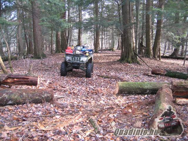 arcticcat_quadinfo_272.jpg