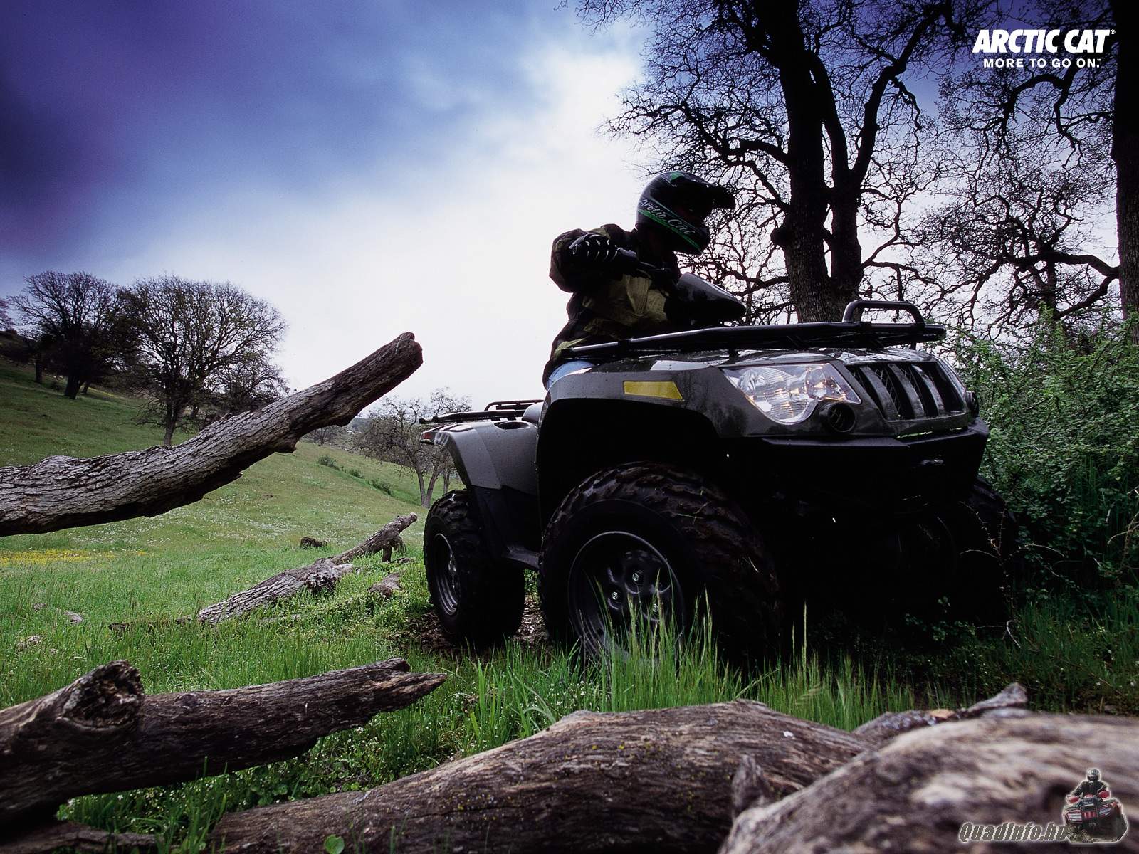 arcticcat_quadinfo.hu_0224.jpg