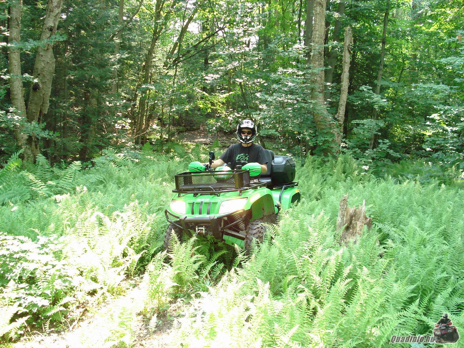 arcticcat_quadinfo.hu_0360.jpg