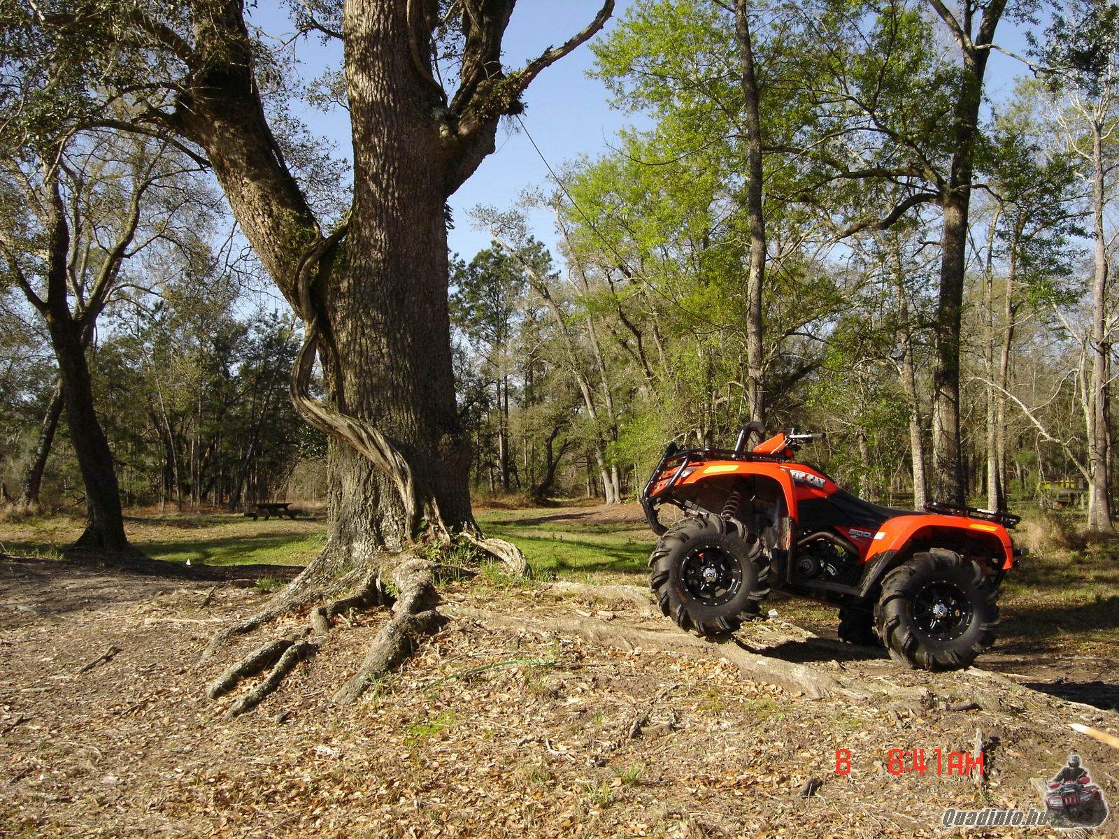 arcticcat_quadinfo.hu_0370.jpg