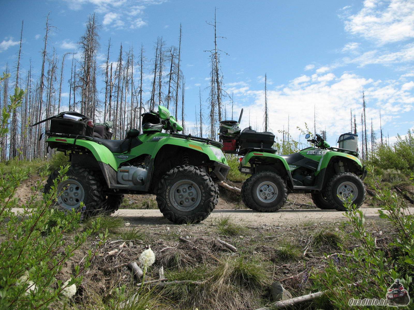 arcticcat_quadinfo.hu_0466.jpg