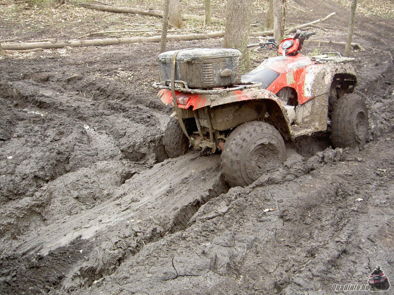 arcticcat_quadinfo.hu_0632.jpg